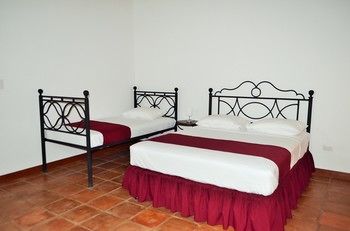 Jardin Garden De Nicaragua Granada