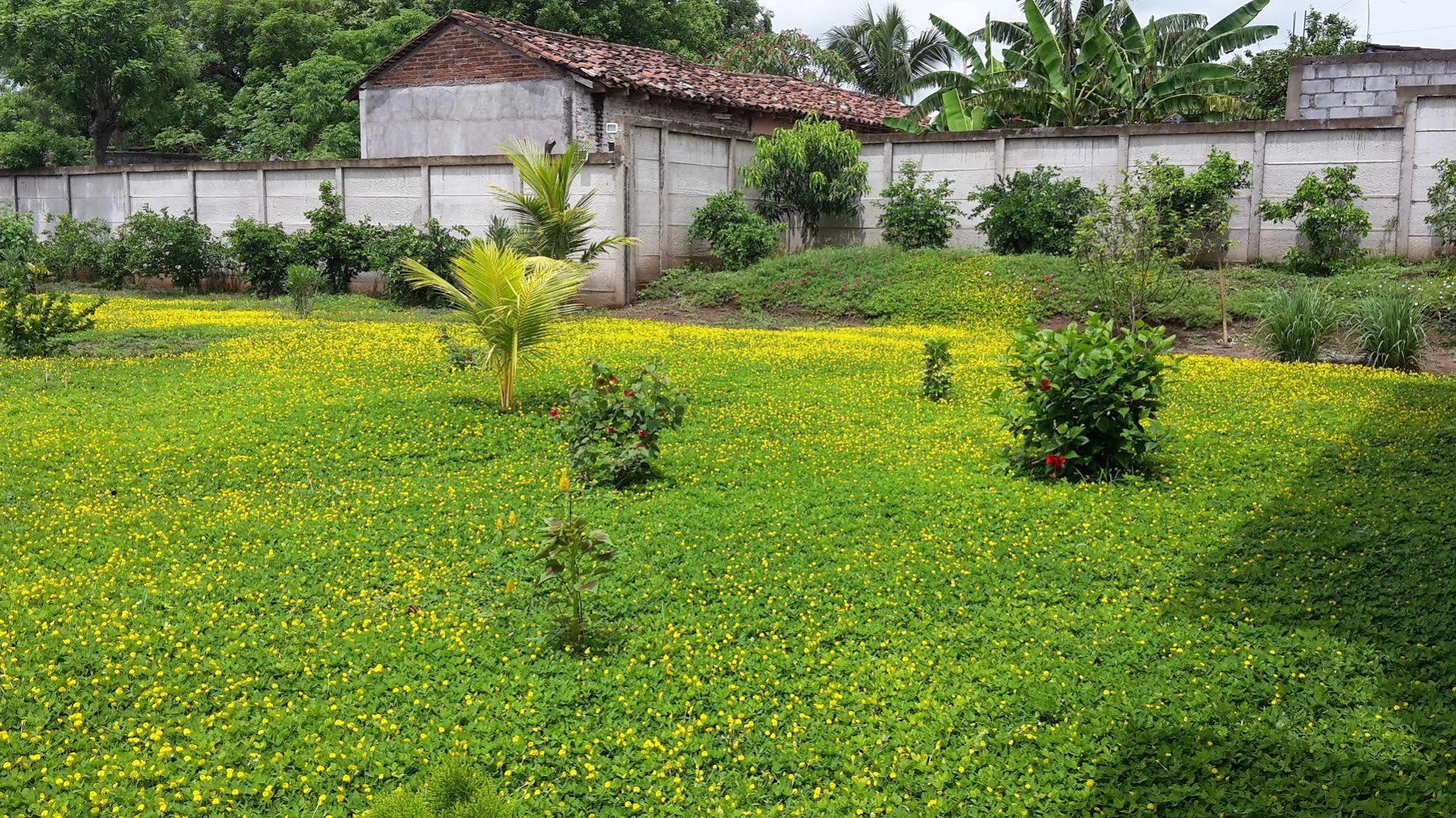 Hotel Jardin Garden De Nicaragua Granada